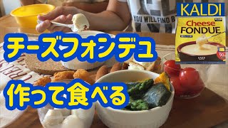 【KALDI】チーズフォンデュを作って食べる動画☆いろんな具材を用意してみた！カルディのチーズフォンデュが手軽で美味しい！息子がまさかの・・・【食べるVLOG】