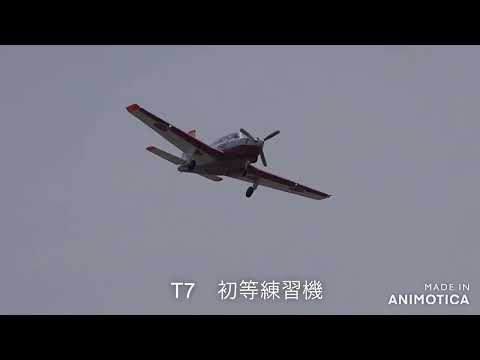 岐阜基地　初等練習機T7   と  主力戦闘機F15　2024.04.02