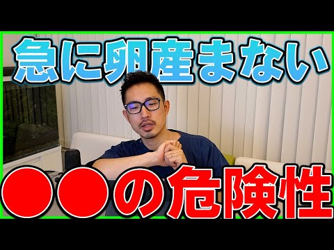 【鳥】615個目の卵を産んでから1ヶ月産んでいません。年齢的にもう産まないのかでしょうか。カルシウムの量は減らしたほうがいいのでしょうか？＃310