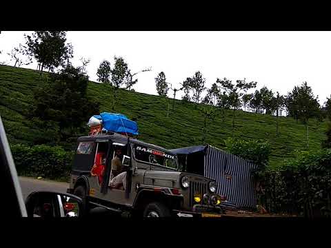 munnar tourist places