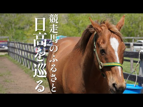 【日本一の馬産地】ゴールドシップや功労馬に感激しました【北海道旅行】