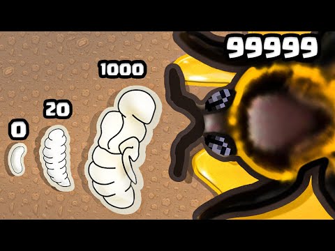 Evolving a Bee Army to MAX LEVEL