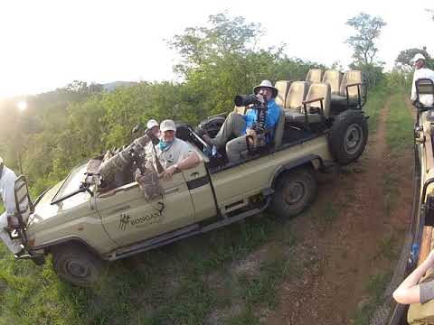 Photographer's Safari in South Africa