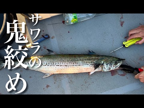 【第1話】魚が釣れてしまう前に見ないと危険です。