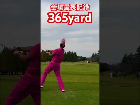 復活のピンクドラコンが会場最長飛距離：365yard Driveをたたきだす✨️#ゴルフ #golf #ドラコン #ドラコンプロ #jpda #坂中亨