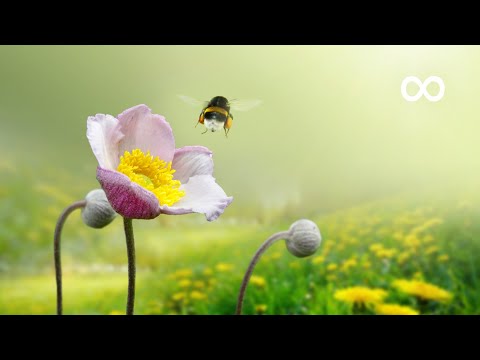 12 Hours of Relaxing Piano Music - Sleep Music, Relaxing Music, Meditation Music (Crystal)