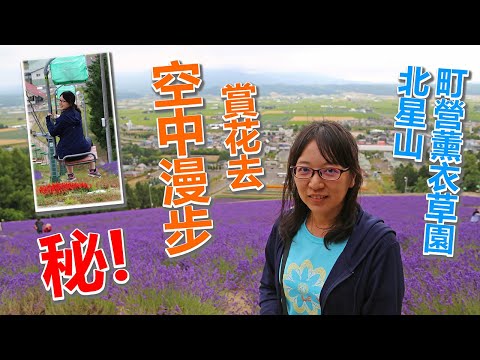 【夏日北海道自由行】來到北星山町營薰衣草園，可以體驗獨特的賞花玩法，搭上登山纜車彷彿如空中漫步一般，欣賞整片薰衣草山坡，相當有趣。