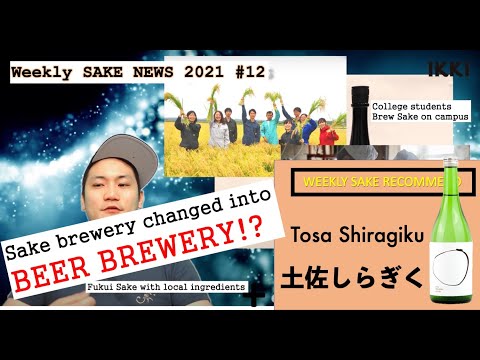 21W12 Sake brewery change into BEER brewery!?+Sake recommend[Tosa Shiragiku 土佐しらぎく]/Weekly Sake News