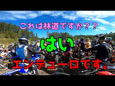 「フルサイズ復帰戦」これは林道ですか？はい、エンデューロです　その26。（WEX west R-6開田高原マイア Rieju MR250）