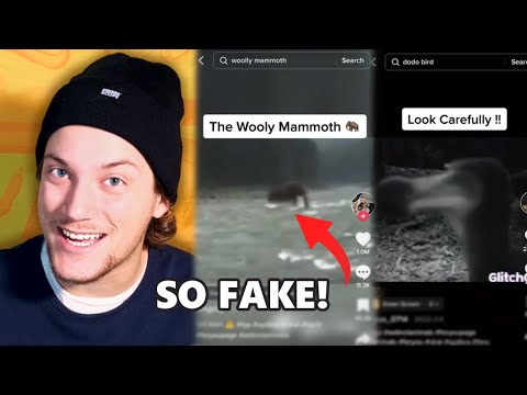 Debunking Fake Extinct Animal TikToks (They're BAD)