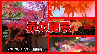 2024まるで京都！【天台宗 最勝寺】（茨城県筑西市）[4K]