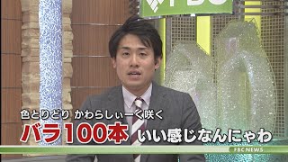 現役アナウンサーが福井弁でニュースを読んでみたざ