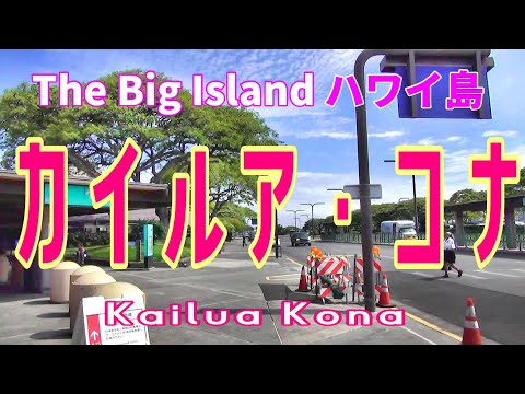 【 ハワイ島・コナ・コーヒー  】コナ空港からドトールコーヒー農園への道程。