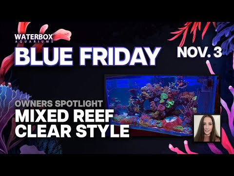 Owner Spotlight - Creating A Beautiful Mixed Reef CLEAR Style