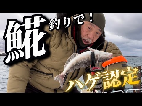 えっ！ハゲ割！！ホッケ（𩸽）釣りなのにハゲ認定！