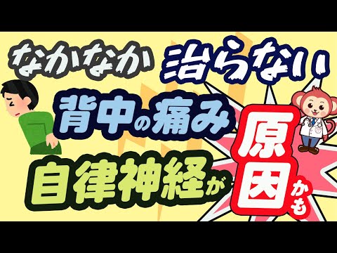 【意外と知らない】背中の痛みの根本原因は、自律神経かも。【医師監修アニメーション】