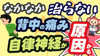 【意外と知らない】背中の痛みの根本原因は、自律神経かも。【医師監修アニメーション】