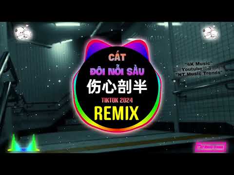 邓典 - 伤心剖半 (DJ抖音版 2024) Cắt Đôi Nỗi Sầu (Bản Trung) Remix - Đặng Biển (Cover) || Hot Tiktok Douyin