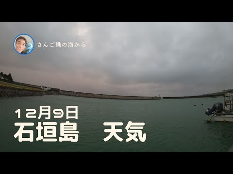 【石垣島天気】12月9日18時ごろ。15秒でわかる今日の石垣島の様子。