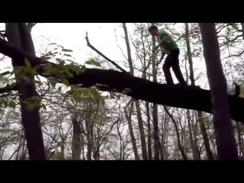 Extreme tree climbing