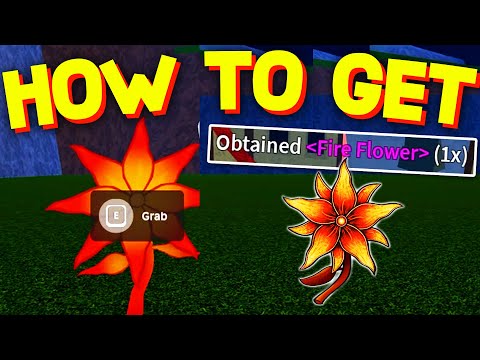 How To GET FIRE FLOWER FAST in BLOX FRUITS! ROBLOX