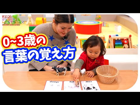 0~2歳の語彙力をトレーニングするマッチングと注意点【モンテッソーリ教育】