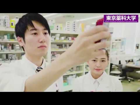 東京薬科大学紹介ムービー　大学ver.