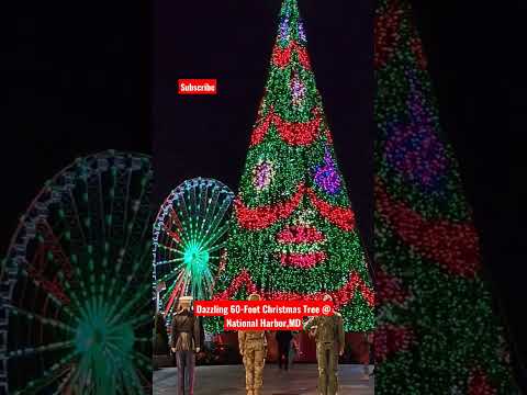 Ep15 Dazzling 60-Foot Christmas Tree  @nationalharbor Maryland #shorts #shortsvideo #christmas