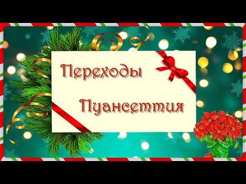 21 Переход Рождественская звезда для Proshow Producer