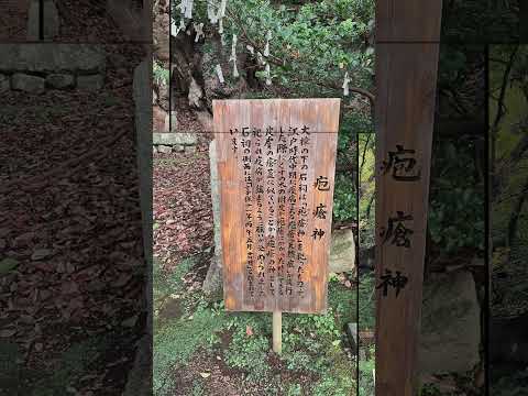 ☆🇯🇵Japan•日本•静岡県•伊東市•葛見神社。　#神社仏閣パワースポット #伊東市 #神社　#巨木　#伊東温泉 #伊東グルメ