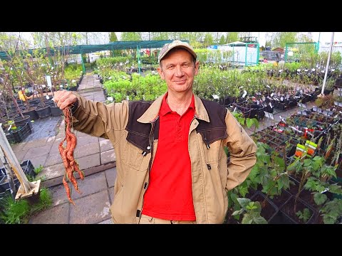 What Can You Buy with $ 3  ???  Inside HUGE Russian Garden Center