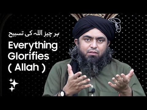 Everything Glorifies Allah - ہر چیز اللہ کی تسبیح کرتی ہے | Engineer Muhammad Ali Mirza