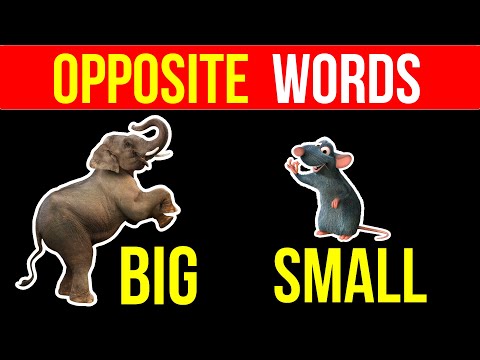 Opposite Words in English for Kids | Learn Antonyms with Fun Activities