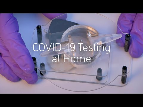 Rapid, Low-Cost COVID-19 Testing at Home with the Handyfuge LAMP Assay