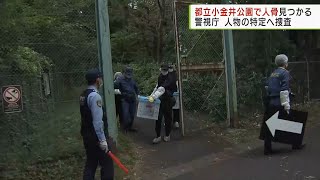 都立小金井公園で人の頭の骨など発見