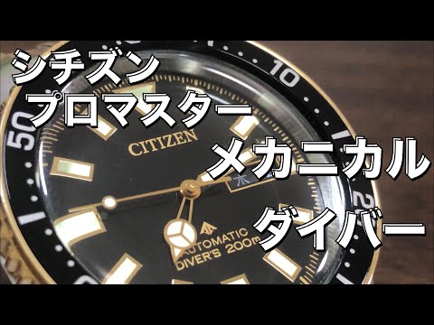 【シチズン】プロマスター  メカニカルダイバー200m ヴィンテージ感がたまらない！