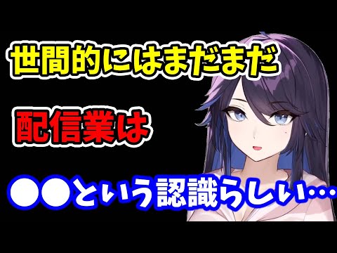 【kson】会社勤めの友人には…私のような配信者はまだまだ●●に見えるみたい…【kson切り抜き/VTuber】