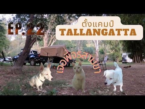 EP. 22 ตั้งแคมป์ครั้งที่ 2 Camping in Tallangatta, VIC