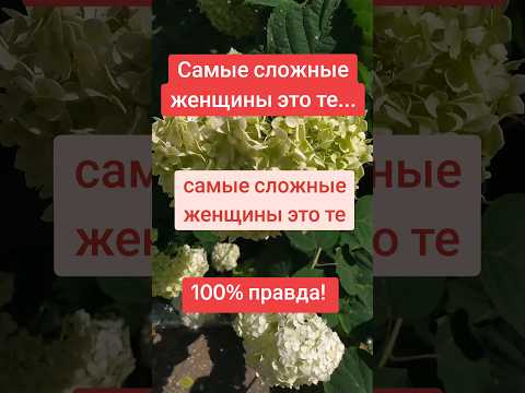 Самые сложные женщины - это те...