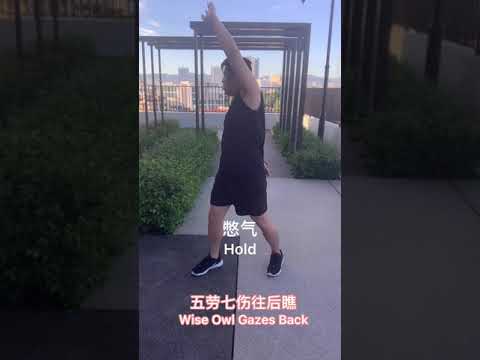 太极八段锦（简易版）taichi 8 pattern