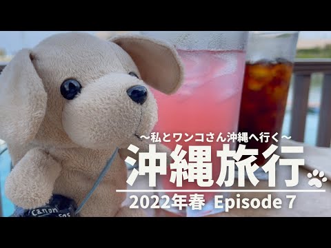 【沖縄旅行】Episode 7 ☆私とワンコさん沖縄に行く2022年春☆ 沖縄旅行最終日