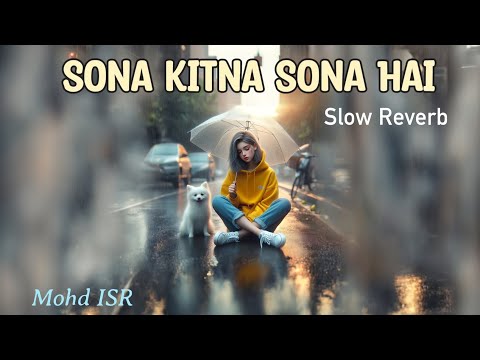 Tu Mera Tu Mera Hero No1 Slow Reverb Mohd ISR