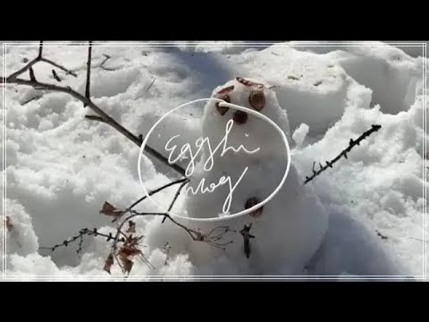 ［VLOG］行李解壓縮日本超市購物分享．北海道reels．居酒屋風氣炸雞翅\三杯雞\海鮮蛋捲