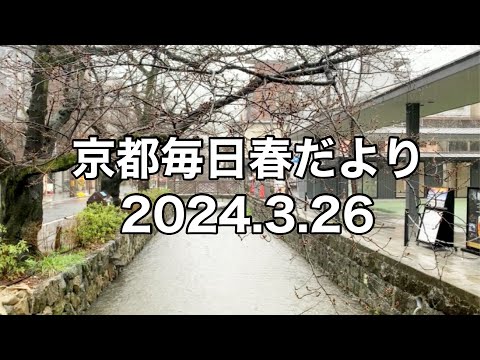 【2024.3.26】京都春の訪れを毎日更新中