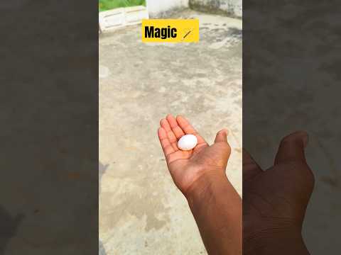 Pigeon Magic Growth Video // Kabootar Ko Jadu Wali Video #magic #shorts #pigeon #darbhanga #video