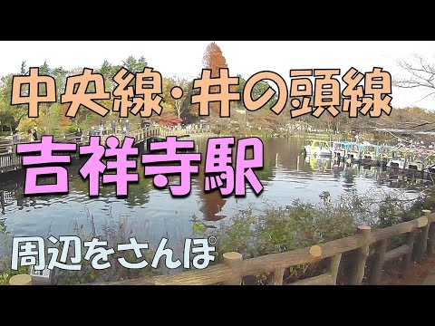 【実況街散歩】 2016年の吉祥寺さんぽ Walking around Kichijoji Station 2016