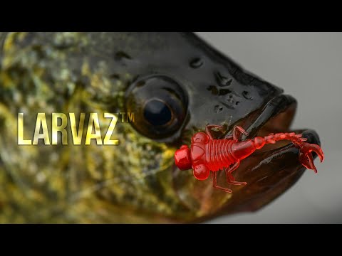 LarvaZ - Micro Finesse