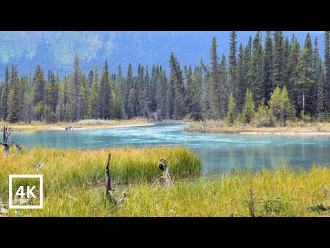 Experience The Calm: Relaxing Water Sounds for Meditation, Sleep or Study - Peaceful River in 4K UHD