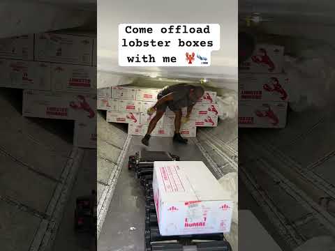 Come offload lobster boxes with me 🦞🛬 #travel #seafood