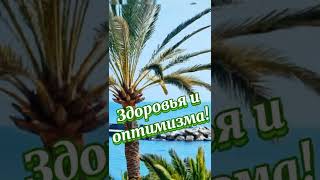 🏖️С добрым утром! Доброго дня! 🍀🌿🍃👍